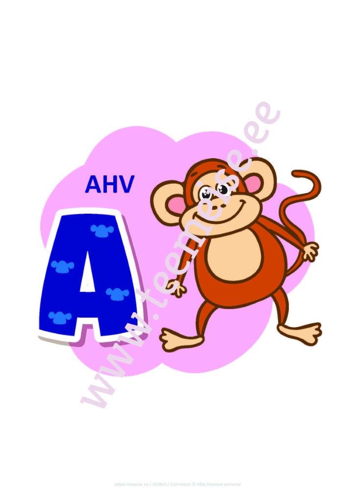 4e2ccb9dfb59b88f841e5a0e2122857547dd5902.jpg