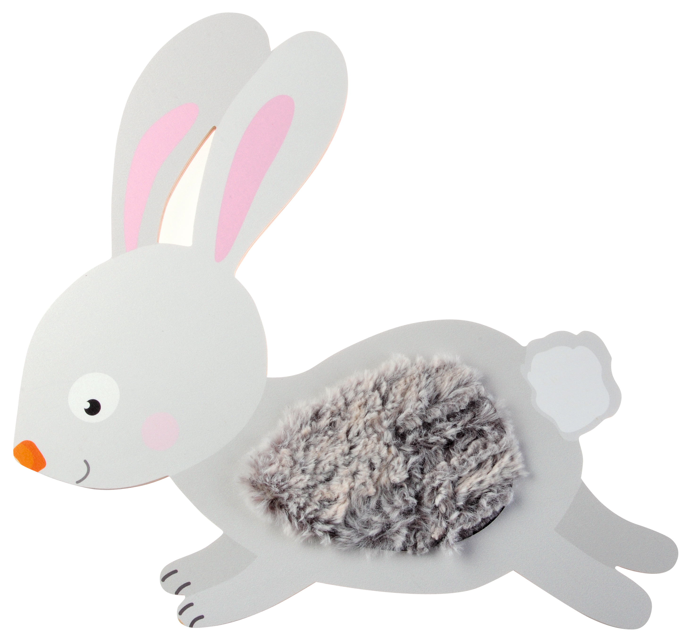 SENSOORNE APLIKATSIOON JÄNES