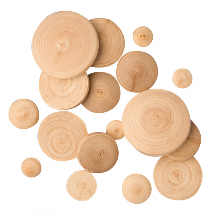 PUIDUST NÖÖBID 100 TK D50MM