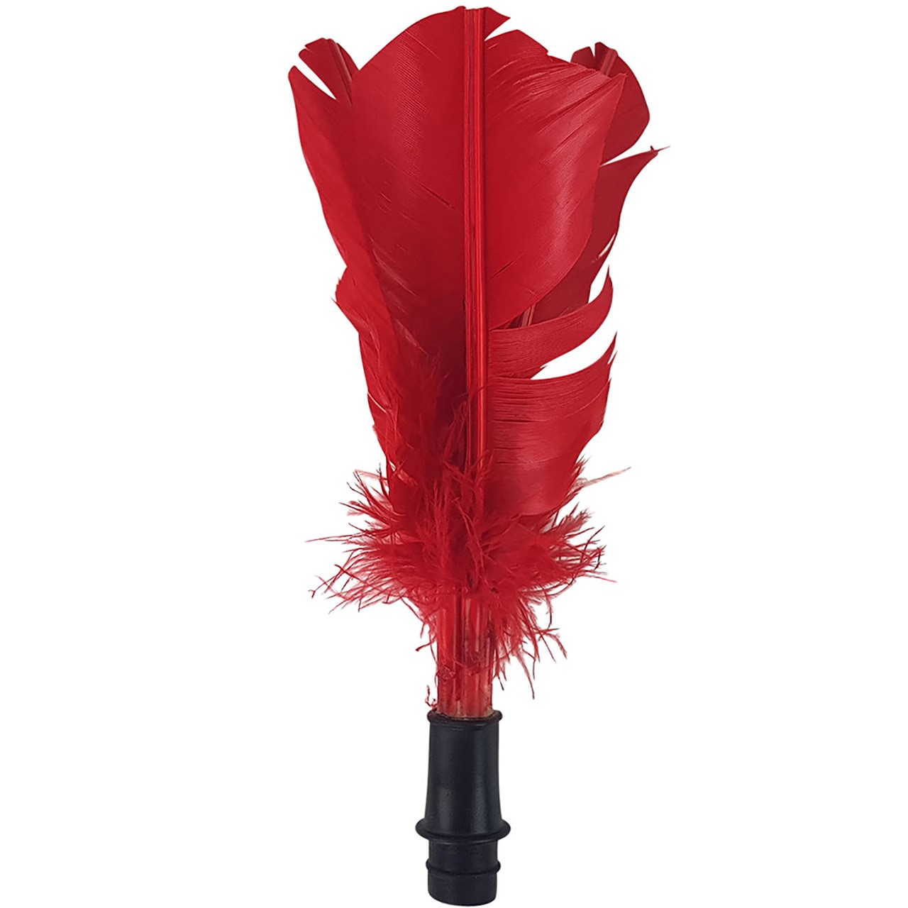 INDIACA PALLI VARUSULED