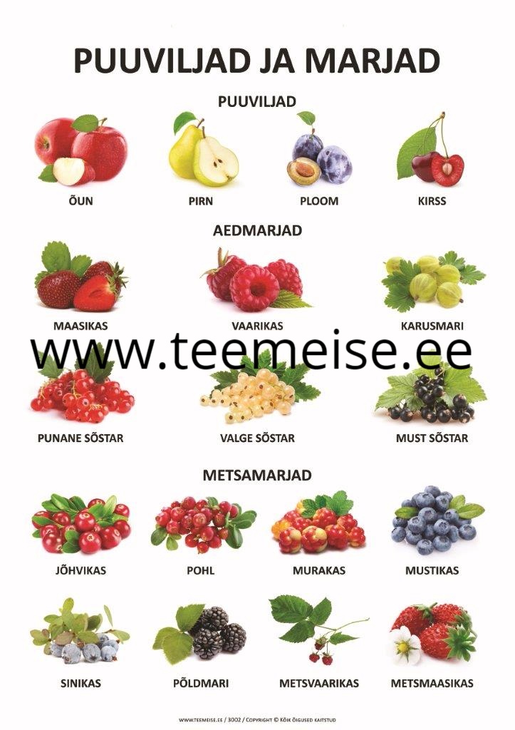 PLAKAT A1 PUUVILJAD JA MARJAD, PAPP/KÄRGPLAST