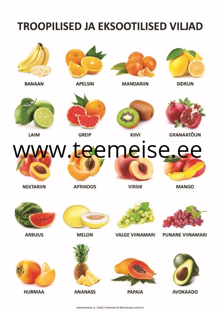 PLAKAT A1 TROOPILISED JA EKSOOTILISED PUUVILJAD, KÄRGPLAST/PAPP