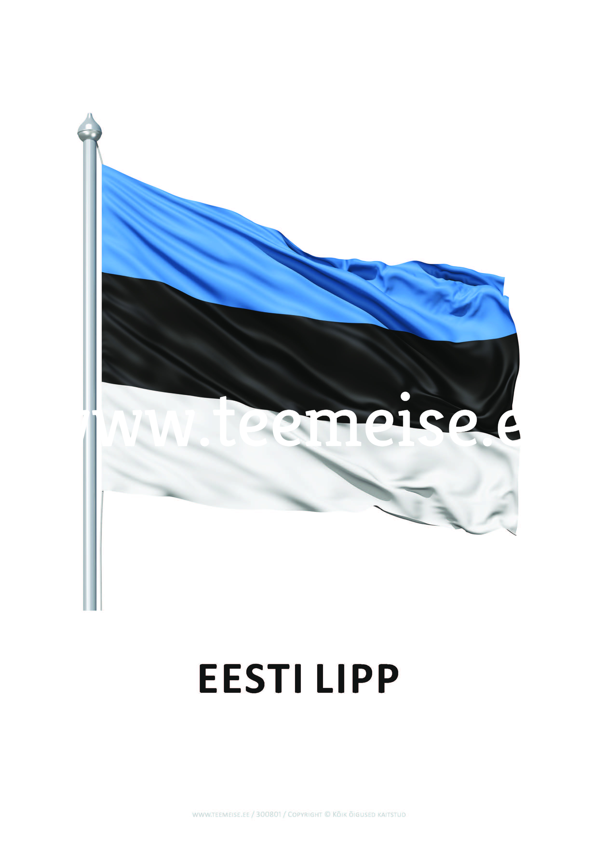 ÕPPEKAARDID A4 Eesti VABARIIGI SÜMBOOLIKA 260g KARTONGIL