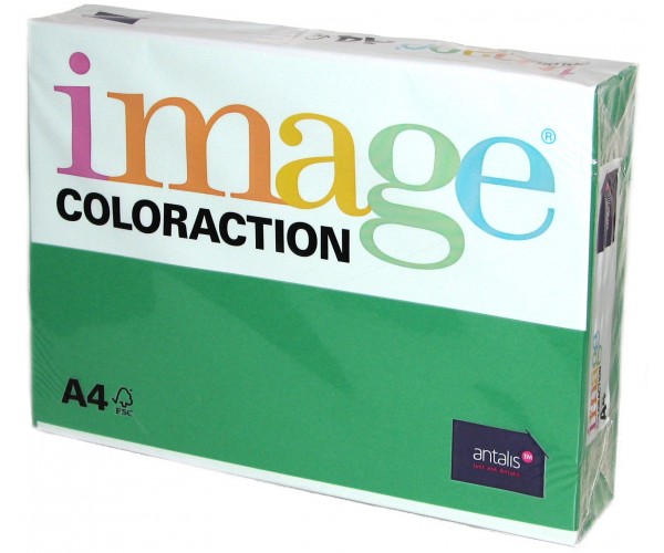 VÄRVILINE PABER A4/80G KUUSEROHELINE (207), 100L