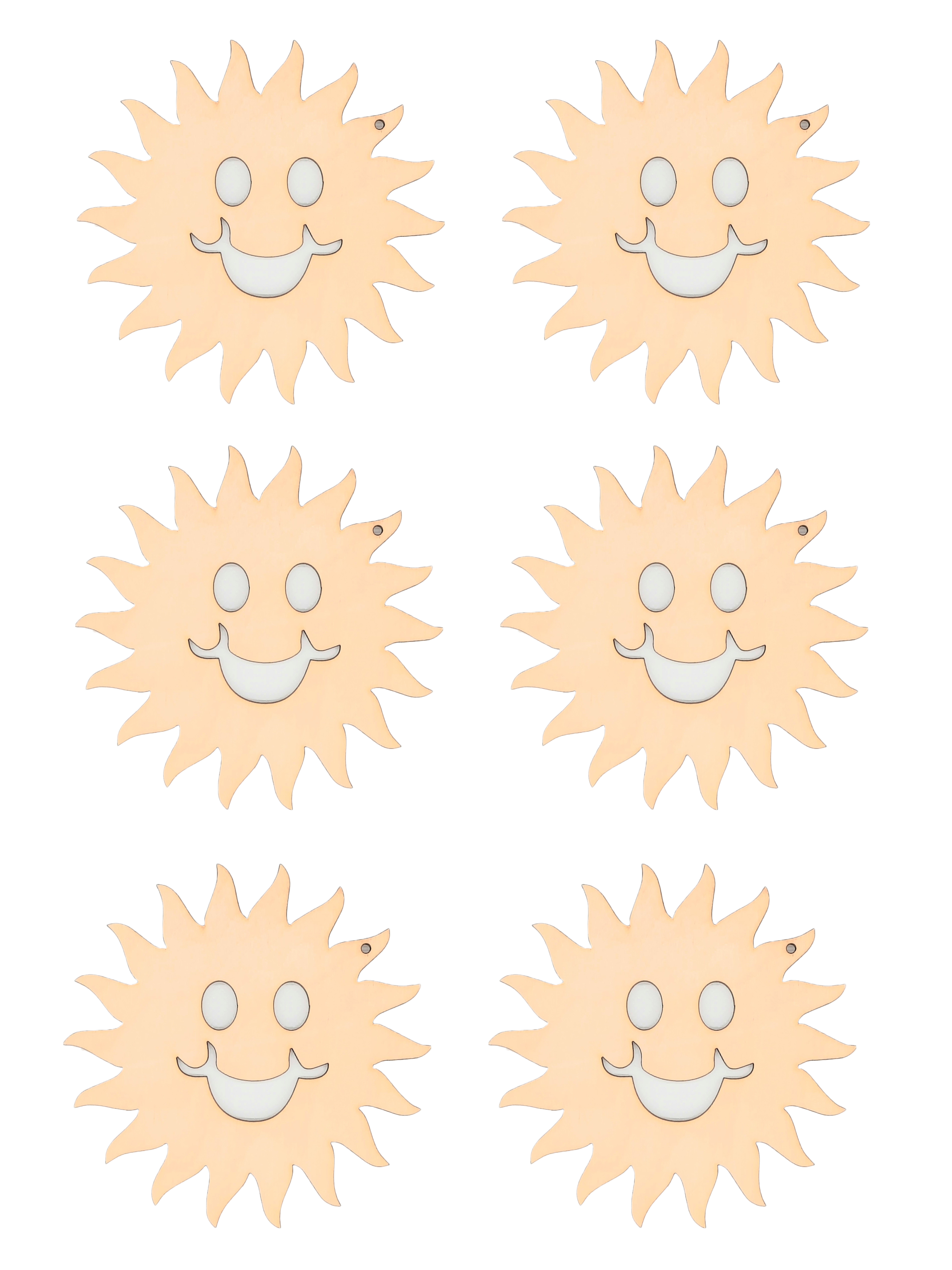 VINEERIST TOORIKUD PÄIKE 20 TK