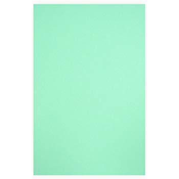 KARTONG A4/220g 100 lehte MINT