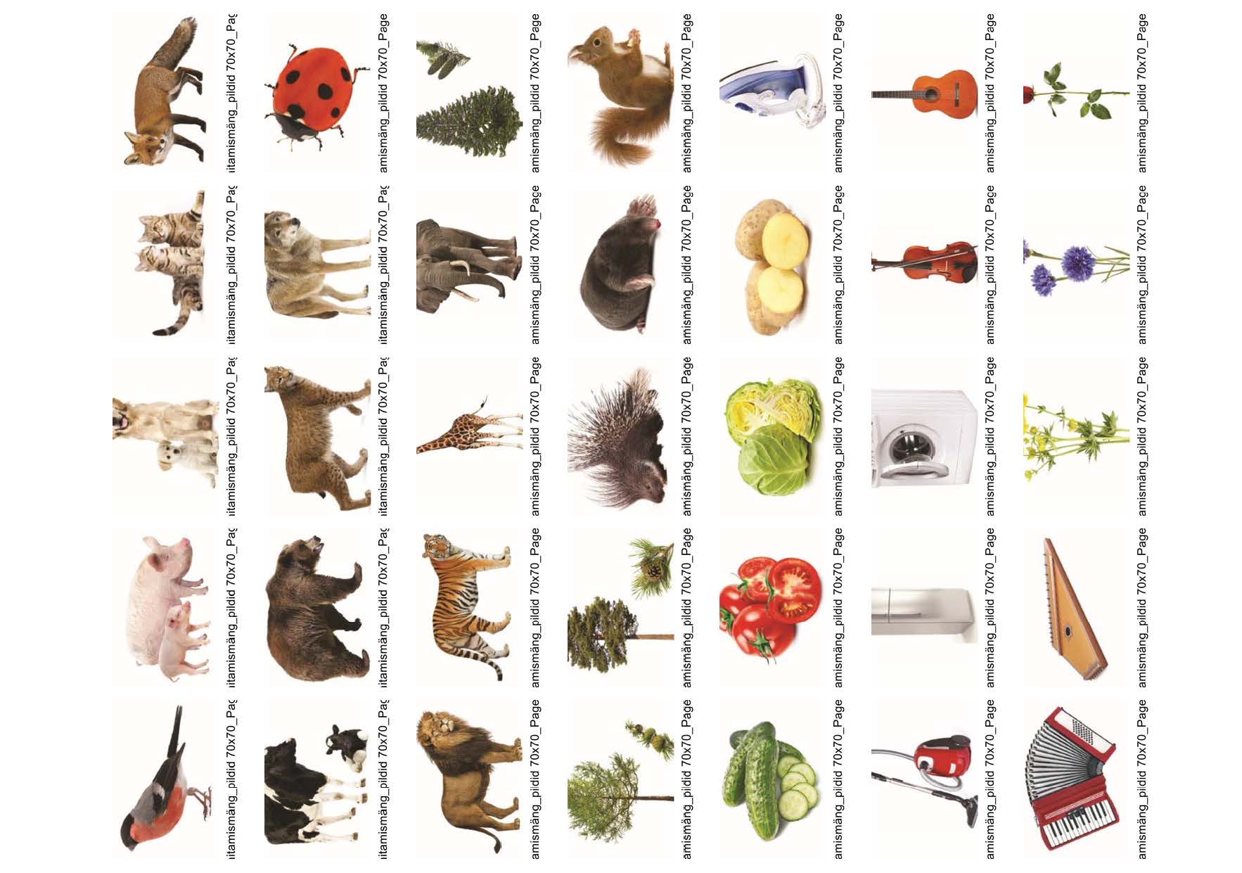 RÜHMITAMISMÄNG -TRÜKISED 80 kaarti