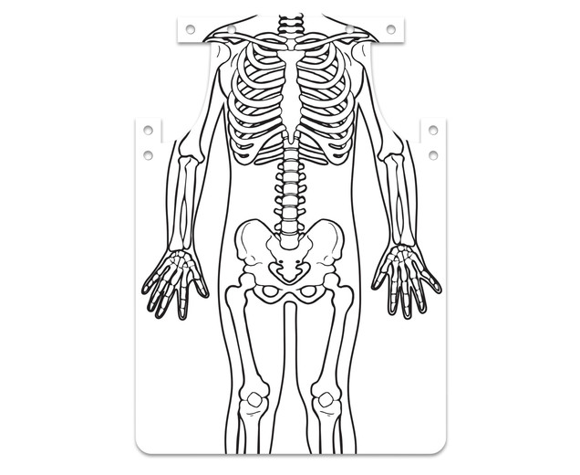 LUUSTIKUGA PÕLL - VÄRVI ISE! 12 tk