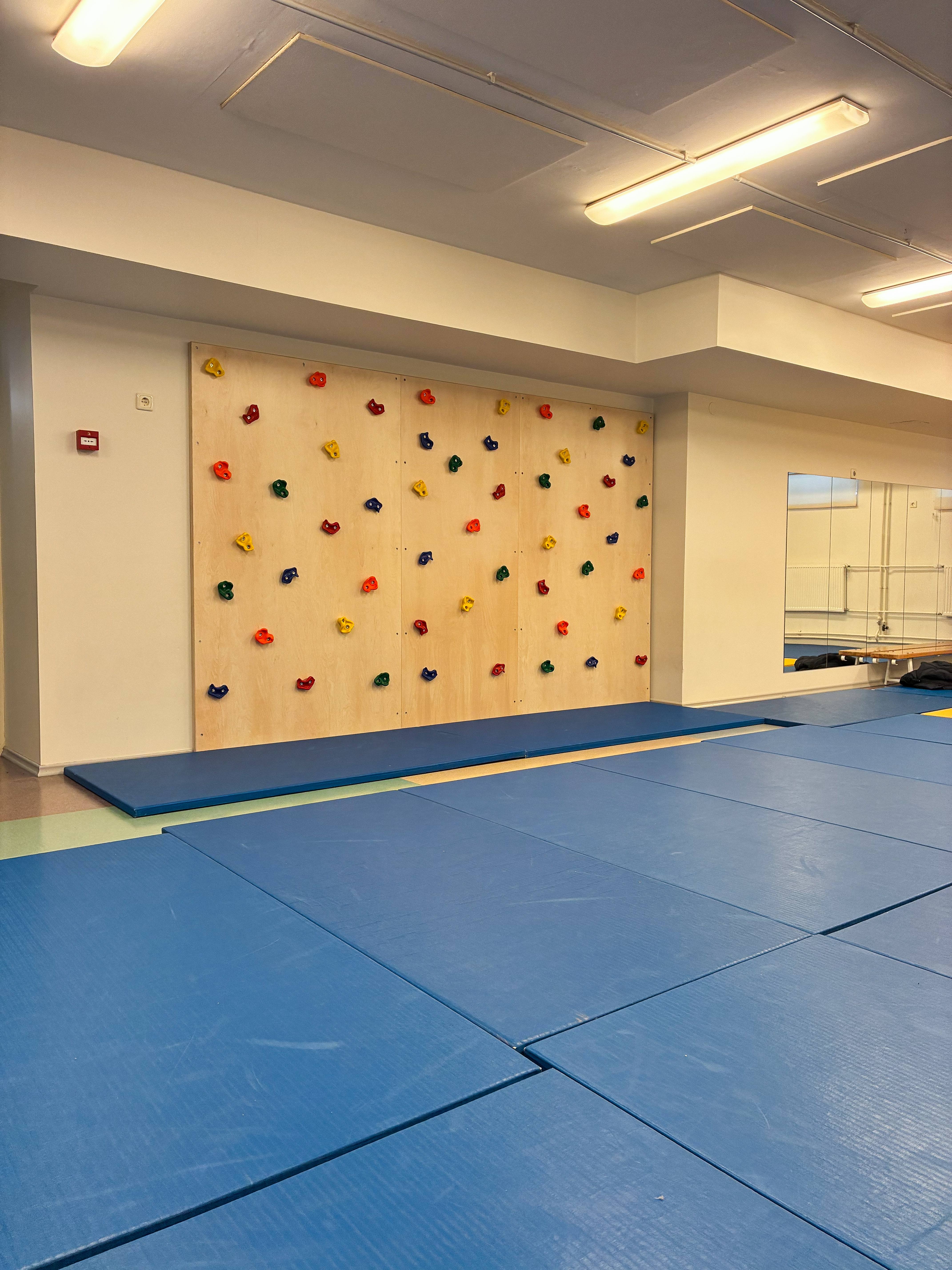 Tallinna Lasteaed Sipsik sai ronimisseina